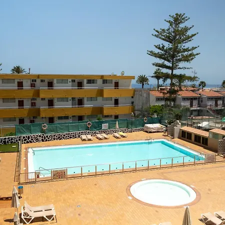 Cactus Canary Rent *