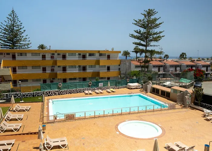 Cactus Canary Rent *