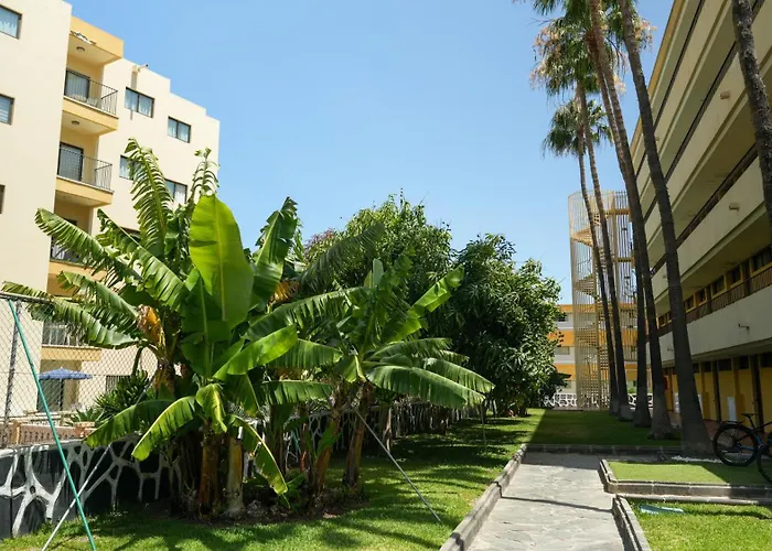 Cactus Canary Rent * Playa del Ingles (Gran Canaria)