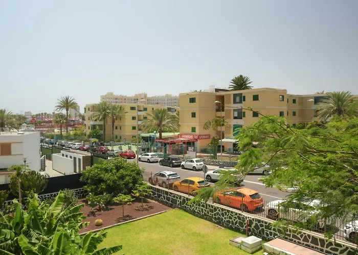 Cactus Canary Rent Apartment