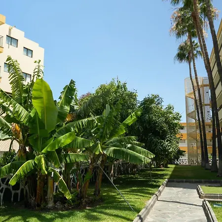 Cactus Canary Rent * Playa del Inglés