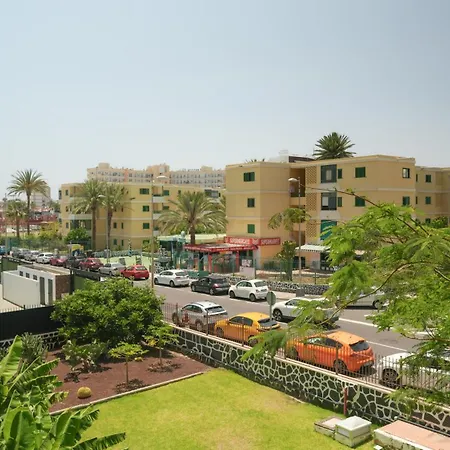 Cactus Canary Rent Appartement